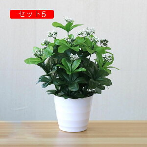 tFCNO[ lHϗtA A ~͐A  ~j CeA p  bv炸 Vzj Vj z Mtg 蕨 ItBX z[   e[u 