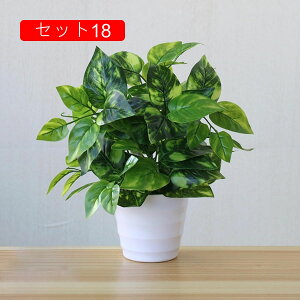 tFCNO[ lHϗtA A ~͐A  ~j CeA p  bv炸 Vzj Vj z Mtg 蕨 ItBX z[   e[u 