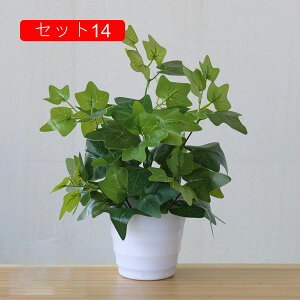 tFCNO[ lHϗtA A ~͐A  ~j CeA p  bv炸 Vzj Vj z Mtg 蕨 ItBX z[   e[u 