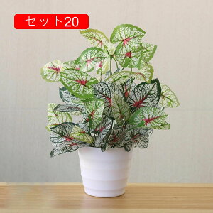 tFCNO[ lHϗtA A ~͐A  ~j CeA p  bv炸 Vzj Vj z Mtg 蕨 ItBX z[   e[u 