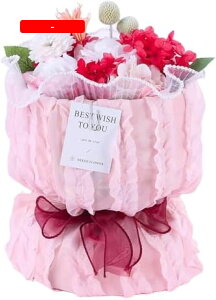 \[vt[ ԑ    zCgf[MtgԎ ͂Ȃ\[vt[ ԑ av[g ̓ ̓ hV̓ LO