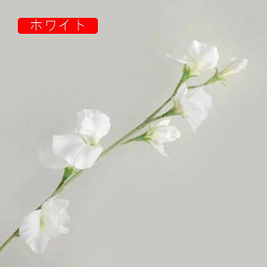 10{  XC[gs[ tFCNt[ A k  CeA A[eBtBVt[ ԑ }[^ { X^CbV 蕨 v[g ̓ Ȃ J