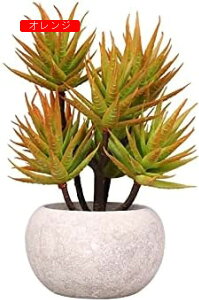 lHϗtAAGxt[c{[pvAgݍ킹fXNgbvlHAvX`bNt[O[vgԃV~[V~́AXv[IW