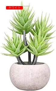 lHϗtAAGxt[c{[pvAgݍ킹fXNgbvlHAvX`bNt[O[vgԃV~[V~́AXv[IW