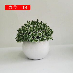 ϗtA ~j A lHϗtA tFCNO[ { 11-13cm ~ CeA  ItBX X   u ͂Ȃ b炸  Vz z 