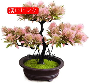 tFCNO[ ϗtA   ԃZbg { ͂Ȃ bsv 25cm*30cm A ~ CeA   u ] Vz ސEj 蕨 v[g CG