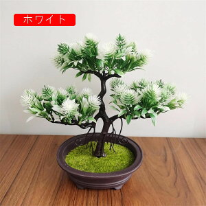 tFCNO[ ϗtA   ԃZbg { ͂Ȃ bsv 25cm*30cm A ~ CeA   u ] Vz ސEj 蕨 v[g CG