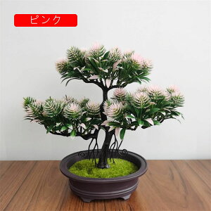 tFCNO[ ϗtA   ԃZbg { ͂Ȃ bsv 25cm*30cm A ~ CeA   u ] Vz ސEj 蕨 v[g CG