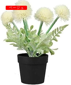 lHA^||V~[Vt[vX`bNAgݍ킹fXNgbvvX`bNt[ԃV~[V~̓rbObh