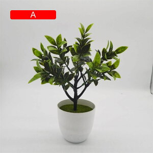 tFCNO[ ϗtA  iM ԃZbg { ͂Ȃ bsv ~ A CeA  ItBX X   u ] 蕨 v[g 24cm*30