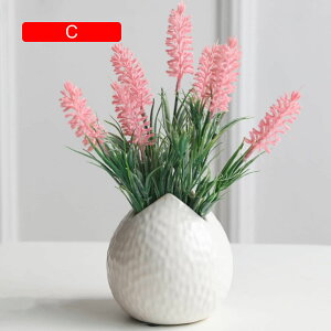  ~ A ԕrt  CeA   v[g Mtg ߓ  ʐ^Be ii w  i ] j Nj җj Vzj ʉ Mtg 