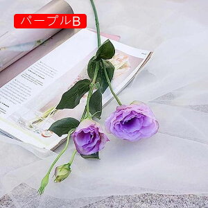 6{  ԑ gRj[ O[ tFCNt[ CeA k A[eBtBVt[ A X^CbV v[g Ȃ  蕨 ̓ JXj 