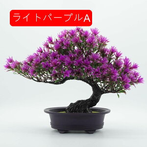 }q lHϗtA A ~ |    K[f ItBX rO[ { A } CeA Bep  蕨 b炸 v[g  