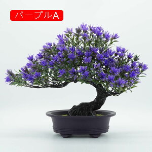 }q lHϗtA A ~ |    K[f ItBX rO[ { A } CeA Bep  蕨 b炸 v[g  