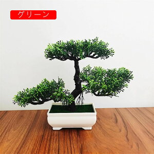 tFCNO[ ϗtA A lHϗtA { 19.5m*25cm ~ CeA  ItBX X 쑕  u ͂Ȃ b炸  z V