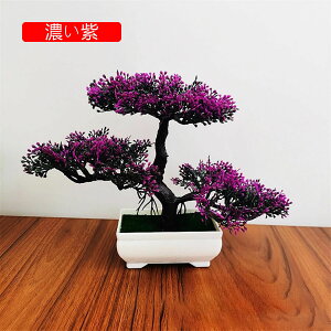 tFCNO[ ϗtA A lHϗtA { 19.5m*25cm ~ CeA  ItBX X 쑕  u ͂Ȃ b炸  z V