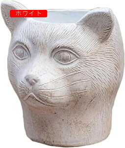  Aؓ̓̃v^[|bgL̊v^[A؃W[V[ȃ|bg̑Aؔ