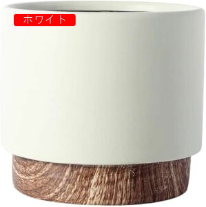  Aؔ Jo[ tv^[ 픫 Z~bN ꌊ Mt zCg ubN O[ fBJ[ ~` CeA ϗtA     A