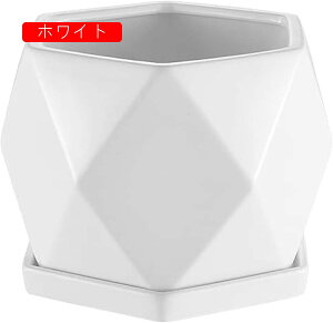  Aؔ 픫 퐻v^[ A v^[  ϗtA Mt  v^[ Ԗ~ Z~bN  Vv   ϗtA A @\ CeA 