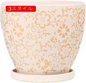 K[f  A Jo[ K[f G K[f pi v^[ [ Jo[ v^[ Aؔ  킢 k  |bgTCY A ԕ   A