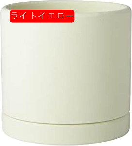 Aؔ ~`Z~bNAؔ 픫 ƉO̐AAؔ - rƃ\[T[tZ~bNAؔ ϗtA O[T{eAEh|bggCt