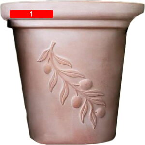 Aؔ INSc[gJ[̓픫 ϗtA  ϗtA̔  Aؔ  A Aւ ȐAؔ ~j K[fjO    ~j y