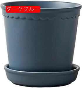 Aؔ 퐻 k A t[|bg ɐ Vv 15cm ʋC ~` CgO[ Mt K[f|bg _ z[ A A  rO 