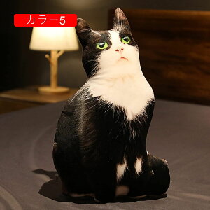 L  ʂ 킢 lR A 50cm LNbV  YQ X  v[g Mtg a 蕨 j