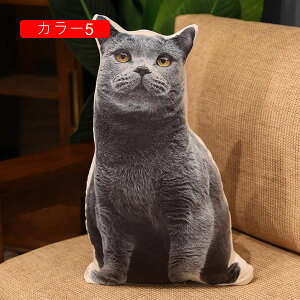 L ʂ 킢 lR  A 50cm LNbV  YQ X  v[g Mtg a 蕨 j