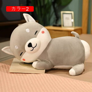 ʂ Č   60cm NbV ČD QY  D v[g Mtg 蕨 a X