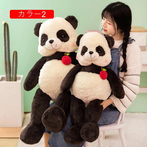 ʂ Aq  100cm D NbV NX}Xp NX}Xv[g 蕨 a v[g Mtg u X