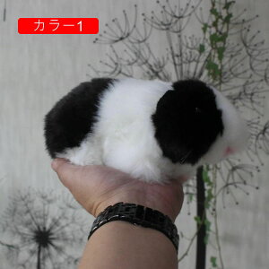 nX^[  ʂ  AO p[eB[̑ m ʔ 18cm  j av[g 킢  D u X 蕨 Mtg