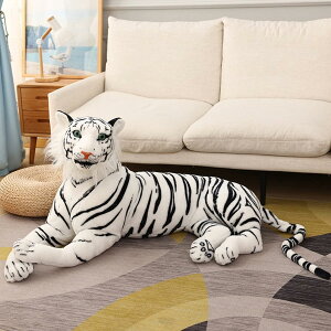 A  ʂ  g  傫 50cm NbV 킢 ՖD v[g Mtg NX}X 蕨 a X