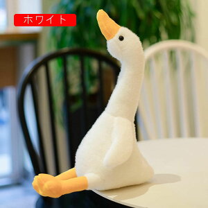  ʂ Aq  傫 45cm  A NbV 킢 D v[g Mtg NX}X 蕨 a X