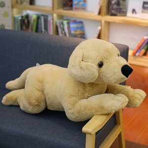 uh[ ʂ ʂ 킢  q ޏ j̎q LO av[g CeA u X j 蕨 v[g 40-80cm