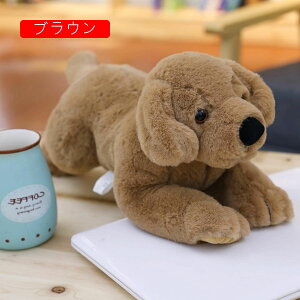 uh[ ʂ ʂ 킢  q ޏ j̎q LO av[g CeA u X j 蕨 v[g 40-80cm