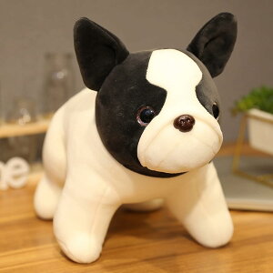 ʂ    A Ck 40cm NbV 킢 D v[g Mtg NX}X 蕨 a X