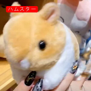 nX^[ ETM ʂ   낢 Ԃ l  j̎q q 3 LO av[g Əj wj j 15cm