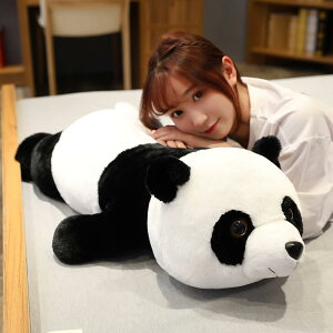 p_ ʂ  90cm l` A p_D NbV NX}Xp NX}Xv[g 蕨 a v[g Mtg u X