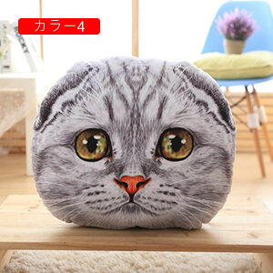  L NbV 50cm  ʂ  X   D v[g Mtg a 蕨 j