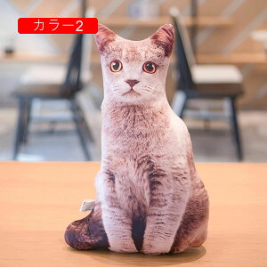 ʂ L A 50cm   LNbV 킢 YQ X  v[g Mtg a 蕨 j