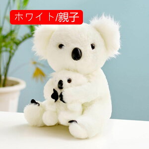 ʂ  RA  30cm A RA eq NbV 킢 RAD v[g Mtg NX}X 蕨 a X
