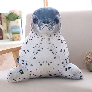 A AVJ ʂ 25cm   NbV 킢 AVJ D v[g Mtg NX}X 蕨 a X