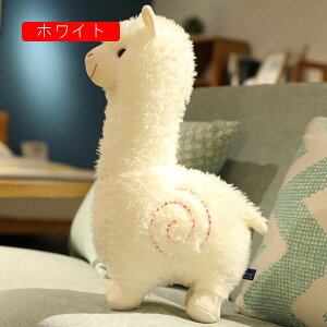 ApJ@ʂ݁@킢@@_炩@n@@S@l`@ӂӂ@@a@LO@蕨@w@@NbV@@