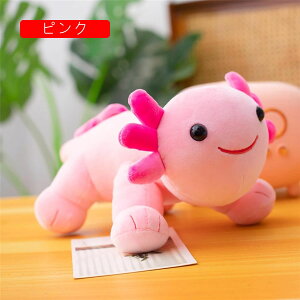 C@@ʂ݁@@30cm@킢@@C@é@ȓ@y@6΁@5΁@w@v[g@蕨@p[v@sN@4J[@n@