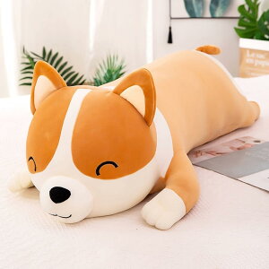 R[M[ ʂ 킢 傫 60-120cm   e ȓ y LO a oYj Əj wj j 蕨 v[g   R[M[