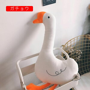 K`E@lR@ʂ݁@ޏގց@GSn̂@炩@RNV@Q@Q܂@܂@˂D݁@킢@é@50/80cm@@jʂ