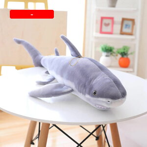 T ʂ 傫 140cm  T Lʂ NbV 킢 D v[g Mtg 蕨 a X Cxg