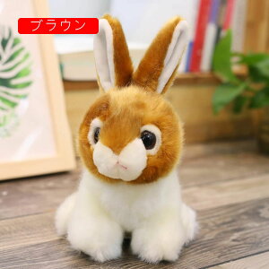 �E�T�M�@�ʂ�����݁@�ӂ�ӂ�@���킢���@���������@�������@���a�����@�o�Y�j���@���蕨�@�����@�ޏ��ގ��ց@���̎q�@�q���@�v���[���g�@��������@�Ԃ����@20-40cm�@�z���C�g�@�O��