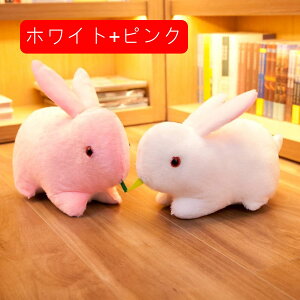 ETM@ʂ݁@Hׂ@߁@ӂӂ@@j@̎q@q̓@q@蕨@a@oYj@v[g@Ԃ@@n@zCg@s